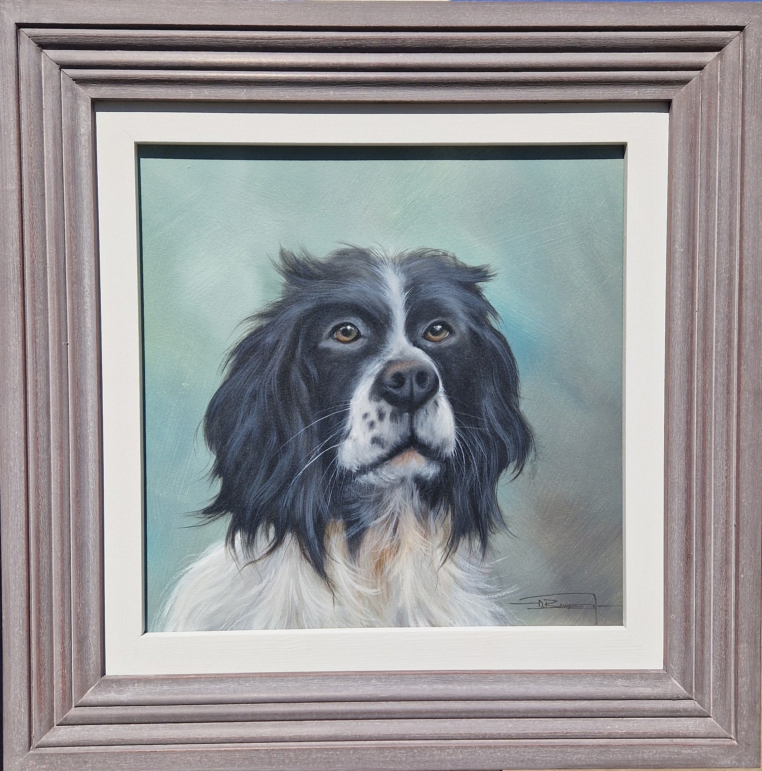 Spaniel