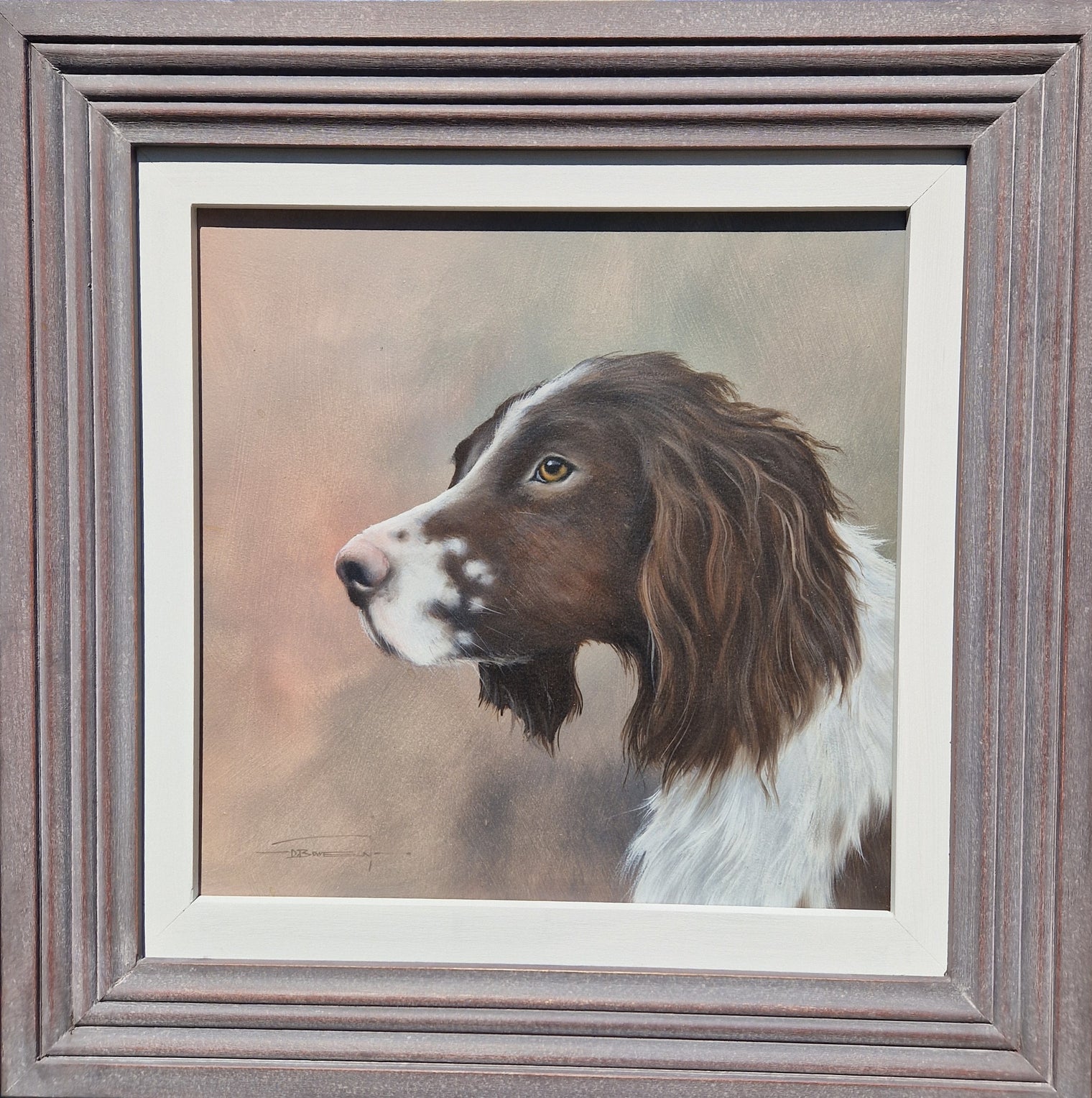 Brown Spaniel