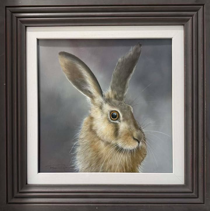Hare's Looking At You