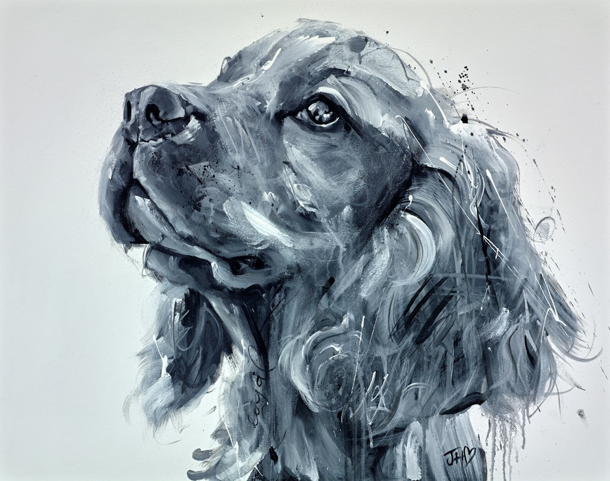 Cocker Spaniel Brilliance