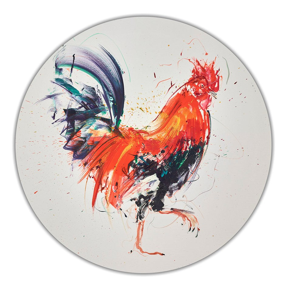 Rooster Study II