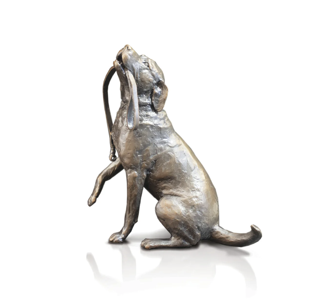 Labrador With Lead