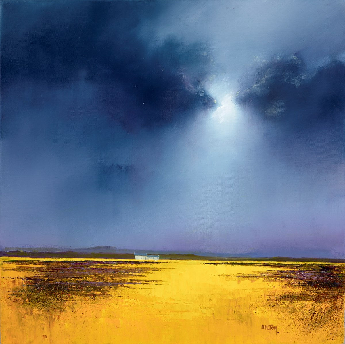 The Plains