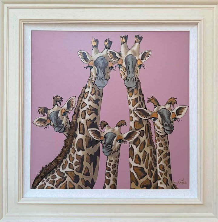 High Five - Rangwali Pink