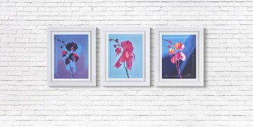 Set of 3 Orchids